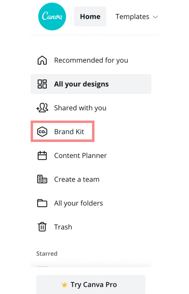 brand kit on canva