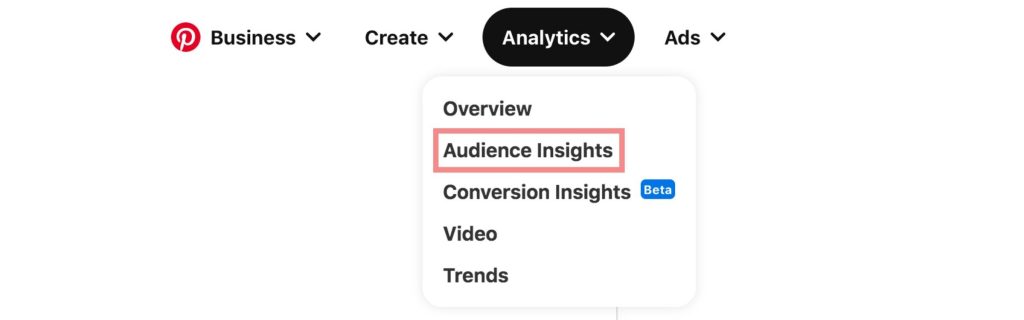 Pinterest audience insights