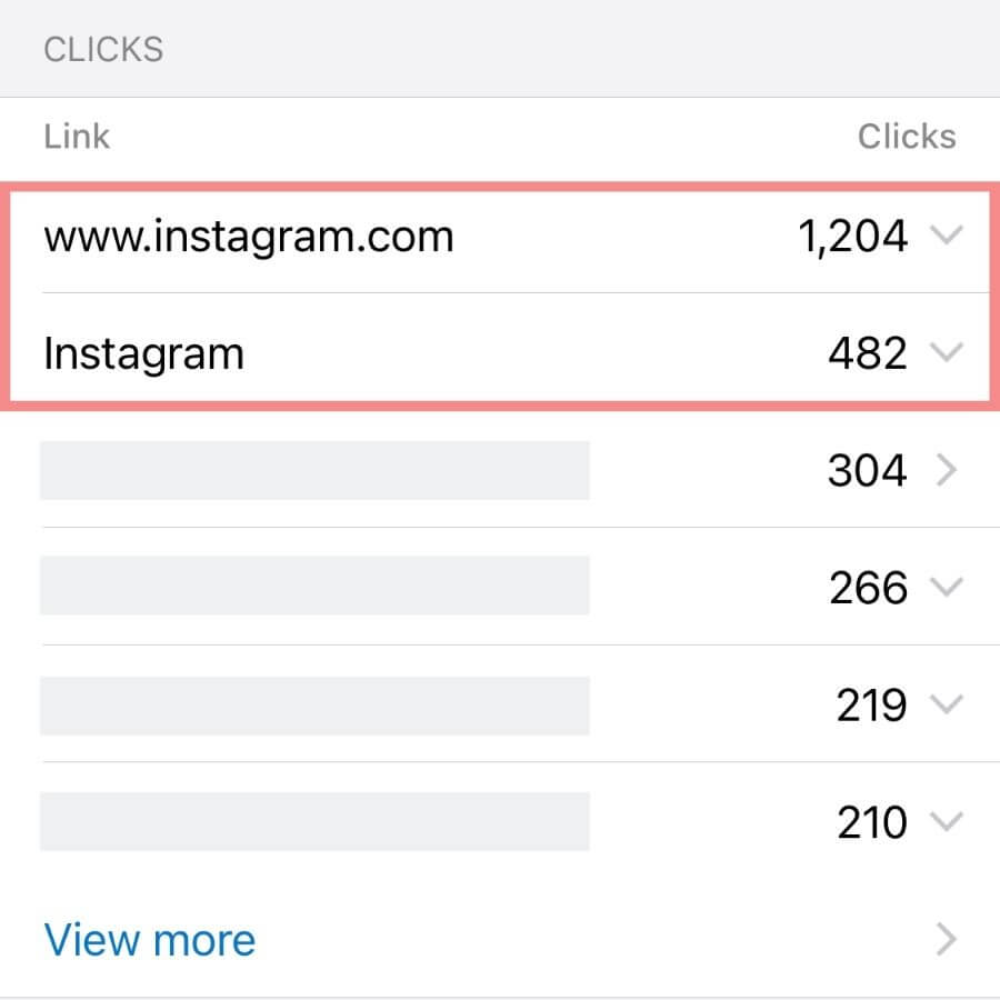 Website Instagram Clicks