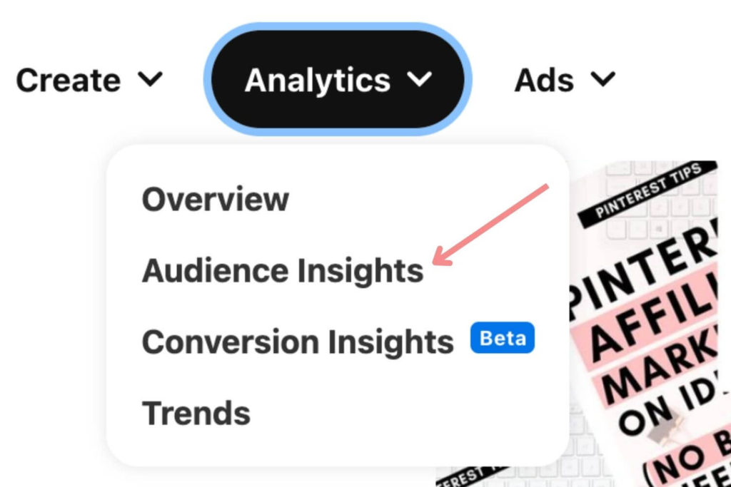 Pinterest Audience Insights